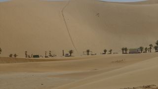ワルヴィス・ベイ（ウォルビス・ベイ）近郊にあるナミビアで最も高さがある砂丘。無料で上れます。