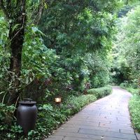 ヴィラまでの道。ジャングル散策しているかのよう。