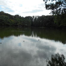 上の三宝寺池は静かな散策用
