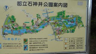 賑やかなボート池と静かな三宝寺池の対比が絶妙