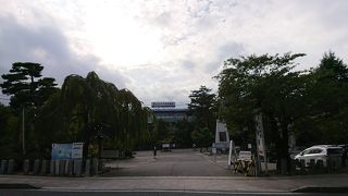 ふだんは落ち着いた雰囲気