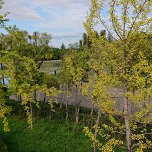 秋の足音を感じる風景