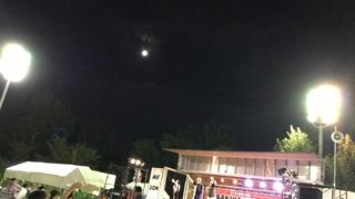 茨木麦音フェスト