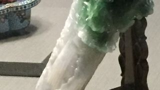 白菜にはキリギリスが2匹います