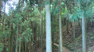 山頂への登山道の途中