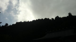 神奈川県の山です。