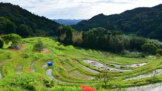 東京から一番近い棚田が鴨川にあった