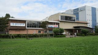 海苔つけを体験できます