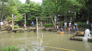 フィールドアスレチックが人気でした