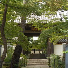 丘の麓から入り、山門から本堂に上がっていく。