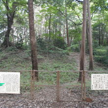 雑木林の小山は、柵で囲われて立入禁止