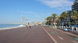 暑い日は朝散歩すべき