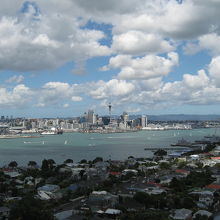 マウントビクトリアからの景観