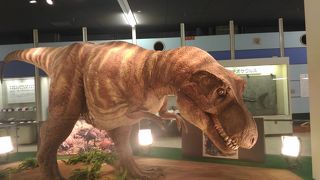 初めての科学館