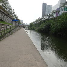 清渓川の散策路です。