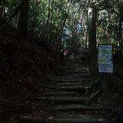 人気のない登山道を選択して登ってみました