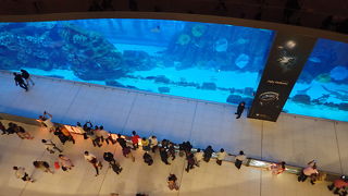 めっちゃ広くて１日いっぱいいることができます。