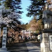 楽翁桜祭の時期に行きました