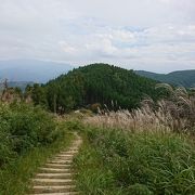 河内長野のススキで有名な山です