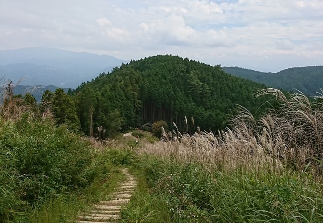 河内長野のススキで有名な山です