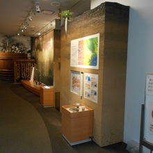 ２階の常設展示場入口