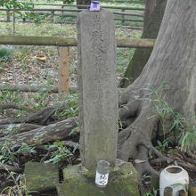 古い石碑が１本