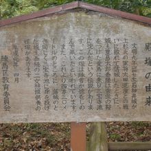 脇には30年前の古い解説板