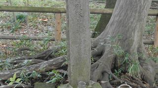 石碑が１本だけの地味な史跡にがっかり