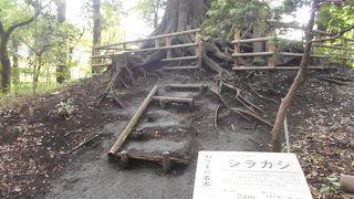 照姫祭りの原点となる史跡