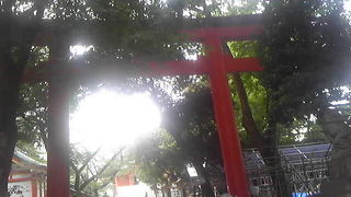 落ち着いていた