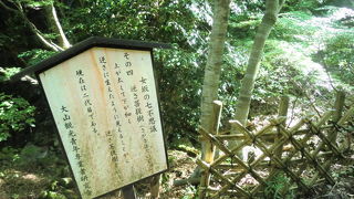 逆さに見える菩提樹