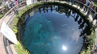 ここは日本ではない