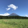 富士山は目の前