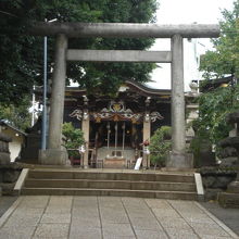 諏訪神社の参道を進むと、鳥居の奥に、諏訪神社の本殿が見えます