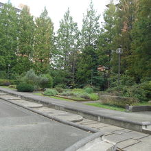 バラ園の南側のハーブ園