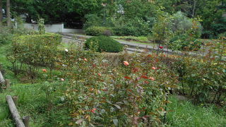 四季咲きのバラがきれいな西洋風公園