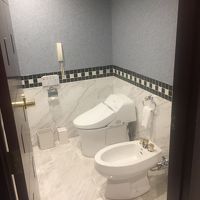 ヨーロッパのトイレっぽいのが良いね