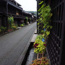 最近は人が多すぎるからこそこの静けさがたまらない