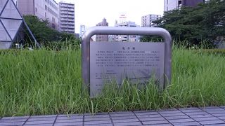 雑草が生い茂っていました