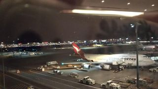 夜もオープンしてる