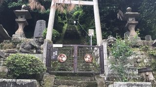 元旦には公開されるのかな？