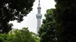 ちょっとした森林浴が出来る場所