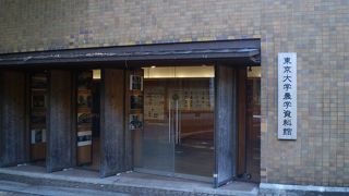 日本の農業事情についてわかりやすく解説