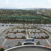 広大な敷地で駐車場も余裕です。