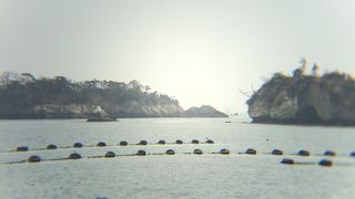 ああ、松島や。松島や。やってきたぞ松島に