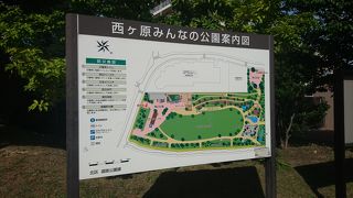 大きな芝生広場