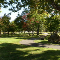 ホテル前の公園です。朝の散歩に手頃です。