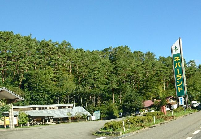 道の駅よりもオススメ