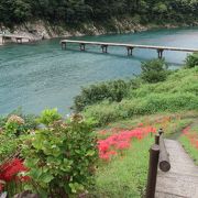 曼殊沙華と岩間沈下橋 ♪