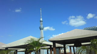 スカイツリーを眺める